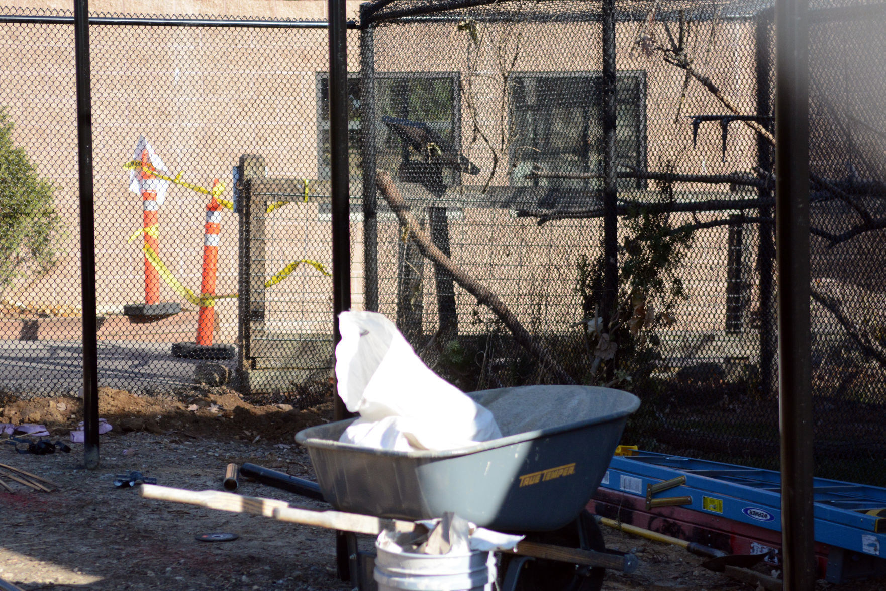Scenes from Baraboo's Ochsner Park Zoo, Nov. 7, 2020
